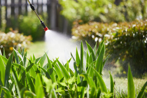 24/7 Emergency Mosquito Control experts in Steele, MO